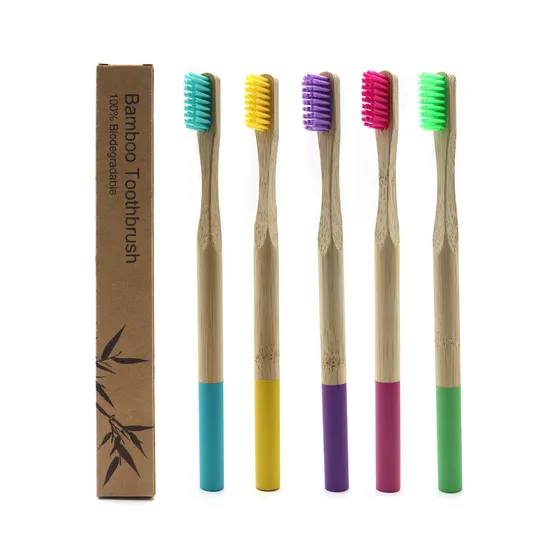 Escova de dentes redonda de bambu natural da saúde amigável dos dentes de Eco