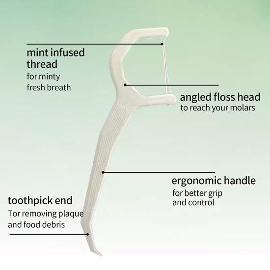 Escolhas avançadas de fio dental de nylon encerado, resistente à fragmentação, fio dental com alça de plástico